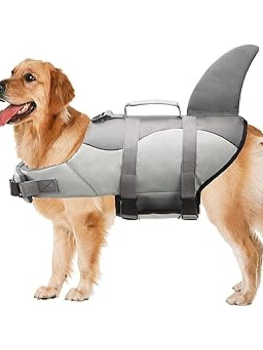 Shark Fin Dog Life Jacket Vest: Safety & Style for Water Adventures, Size Med